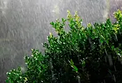 Краткотрайни бури с градушки връхлитат части от България