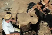Археолози откриха монументална статуя на 2500 години
