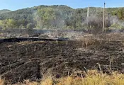 Искра от товарен влак запали пожар край Розино