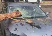 Дърво прониза автомобил на булевард "Витоша" в София