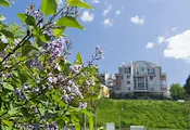 РИОСВ - Русе отчете спад на сигналите за миризми в града