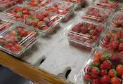 Забраняват пластмасовото фолио за плодове и зеленчуци