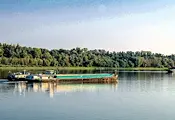 Застой в нивото на Дунав при Русе