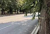 Затварят две от лентите за движение по булевард „Съединение“