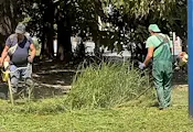 Продължава поддръжката на зелените площи в Русе