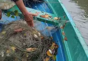 Удар срещу бракониерите по река Янтра