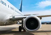 Откриха останки от птица в двигателя на авариралия самолет на Ryanair