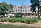 Борово посреща празника си с фолклорен фестивал