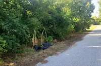 Кметство Сандрово: Нека не превръщаме местата около селото в сметища!