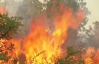 Обявиха частично бедствено положение в пет хасковски села