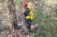 Силен вятър разпали голям пожар в Ново село