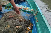 Удар срещу бракониерите по река Янтра