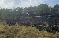 Потушиха пожар край село Стърмен