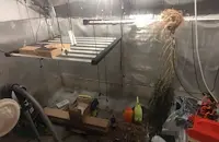 Разкриха домашна оранжерия за марихуана в Ново Бърдо
