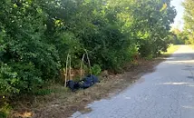 Кметство Сандрово: Нека не превръщаме местата около селото в сметища!