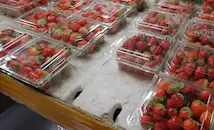 Забраняват пластмасовото фолио за плодове и зеленчуци