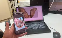 Учени сканираха триизмерно челюстта на мамута от Ряхово