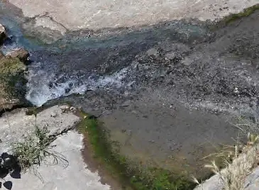Мръсни води от автомивка за ТИР-ове се вливат в Дунав