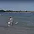 Бактерия в Черно море ни атакува, ако влизаме във водата с рани Бактерия в Черно море ни атакува, ако влизаме във водата с рани