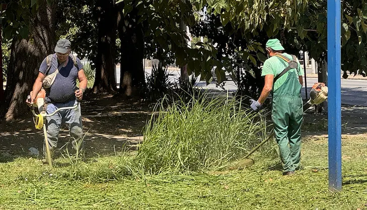 Дейностите по косене ще обхванат основни булеварди и квартали в града Дейностите по косене ще обхванат основни булеварди и квартали в града