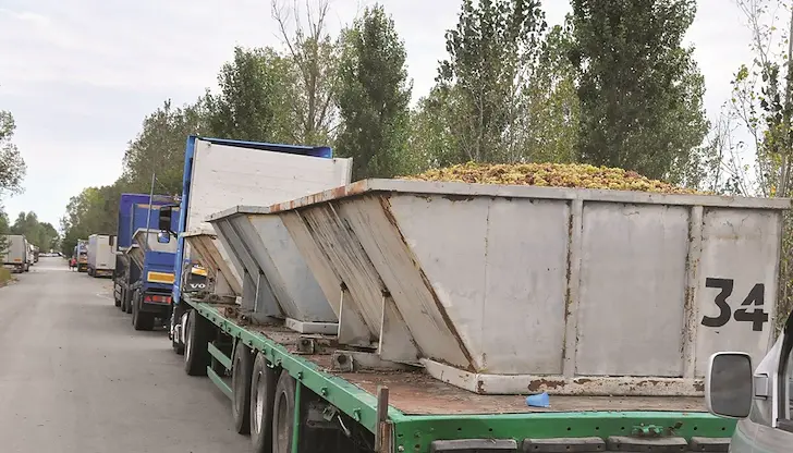Агенцията по храните унищожи 3 тона в Пловдивско Агенцията по храните унищожи 3 тона в Пловдивско