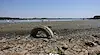 Спадът на река Дунав продължава