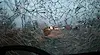 Двама чужденци пострадаха при верижна катастрофа край Владая