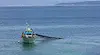 Нови забрани за риболов в Черно море
