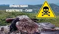 Русе се включва в протеста срещу отровите в природата