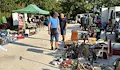 Какво търсят румънците на битака в Русе