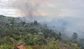 Съмнения за умишлен палеж край вилна зона „Отдих“