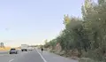 Кон препуска на магистрала „Струма“