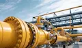 Кремъл и "Алтернатива за Германия" договарят доставки на руски газ