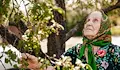 България се стопява с близо два милиона души