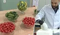 Български учени създадоха чери домати с двойно повече витамини
