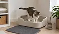 Котешка тоалетна: как да осигурите комфорт и добра хигиена у дома