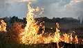 Съседка обвини Жан Виденов за опасен пожар в Марково