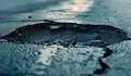 Път пропадна след авария на магистрален водопровод във Варна