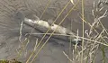 Спират незаконен строеж след екокатастрофа в Бела река