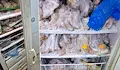 БАБХ унищожи 800 килограма опасни храни