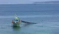Нови забрани за риболов в Черно море