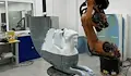 Сфинксът от Боровското съкровище "оживя" чрез триизмерен печат