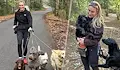 Адвокатка заряза кариерата си и забогатя от разхождане на кучета