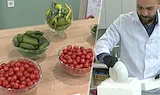 Български учени създадоха чери домати с двойно повече витамини