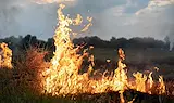 Съседка обвини Жан Виденов за опасен пожар в Марково