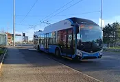 Безплатен градски транспорт на 22 септември в Русе Безплатен градски транспорт на 22 септември в Русе