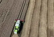 Русенски земеделци не могат да продадат реколтата си от пшеница