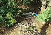 Пътят към стария плаж в Сандрово потъна в боклуци