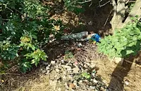 Пътят към стария плаж в Сандрово потъна в боклуци