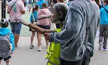 И Пинокио тръгна на училище